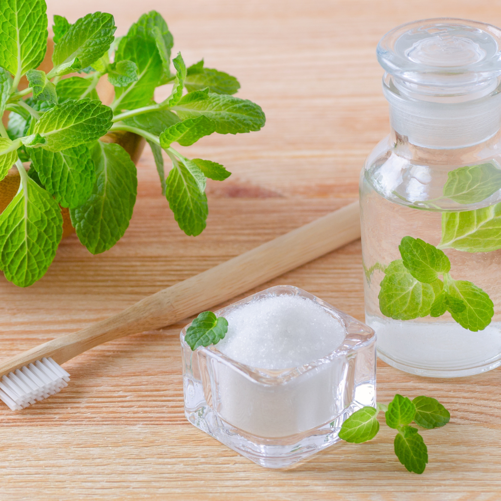 Xylitol Mints Fuzzy Brush